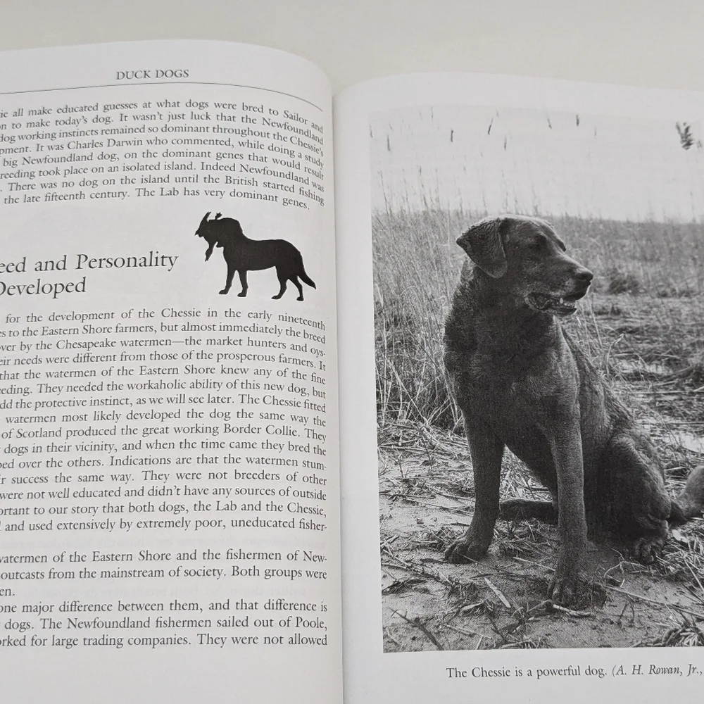 Vintage Set of Hunting Books by Richard A. Wolters - Picture 6 of 10